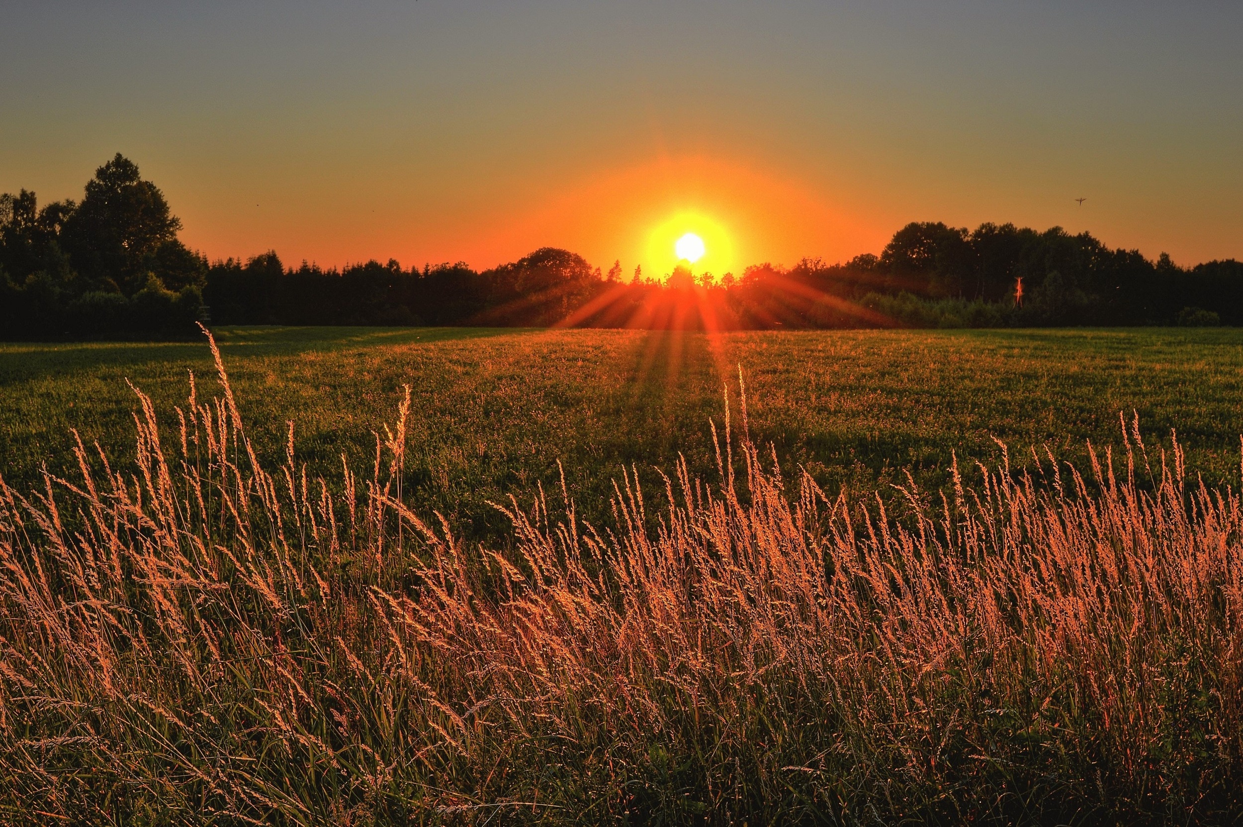 Biofeedback Therapy Sunset