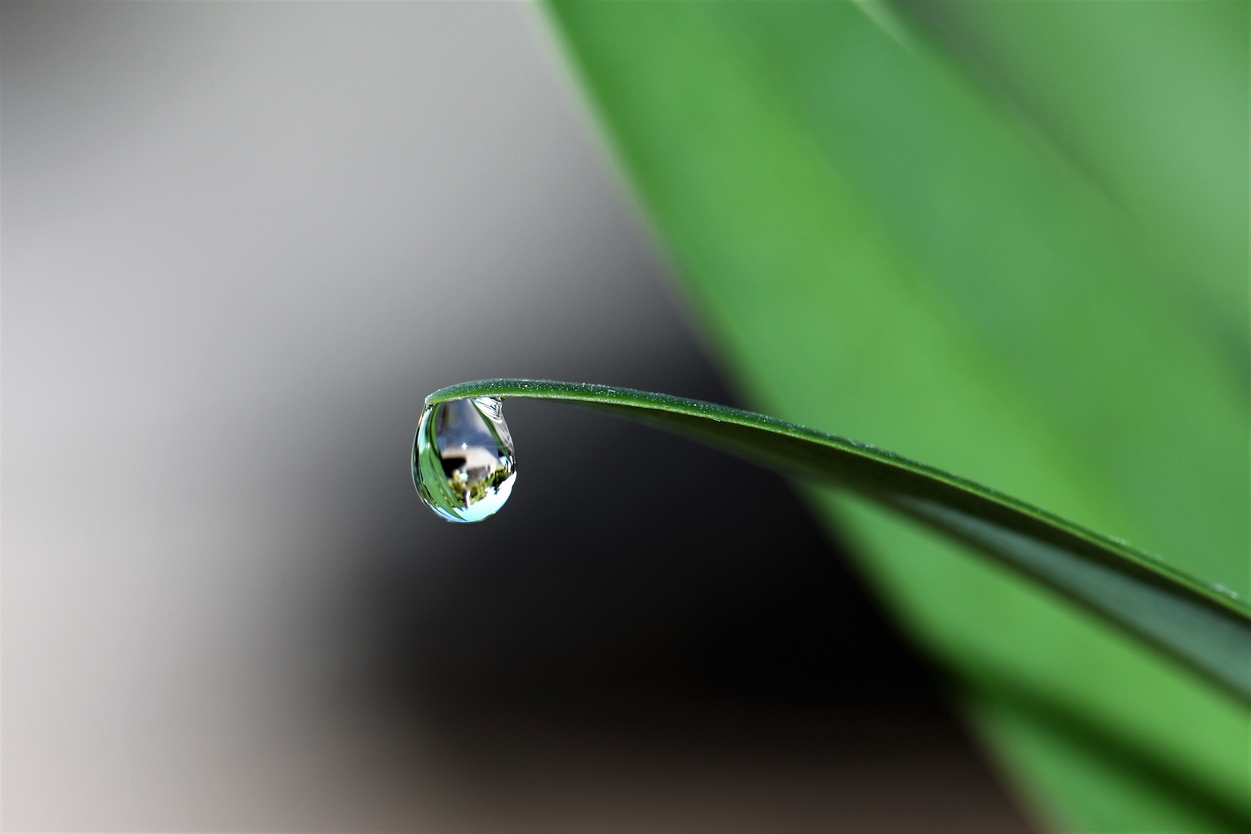 Biofeedback Therapy Grass